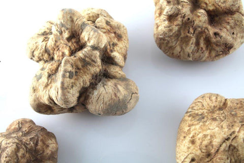 White Truffles: what and they are and how to prepare them