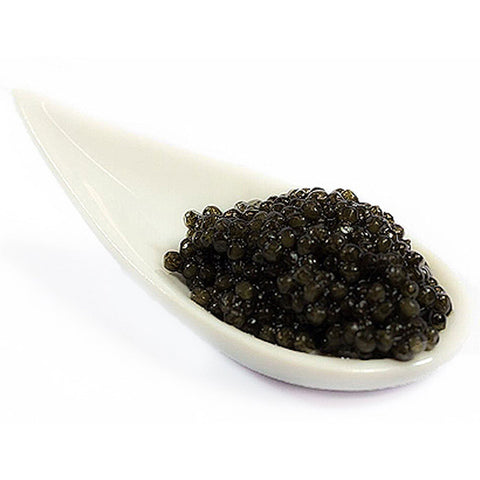 Italian White Sturgeon Caviar
