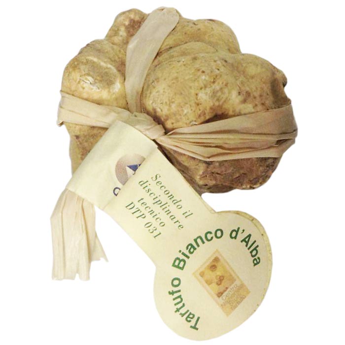 Shop Alba White Truffles 100% Certified | Alma Gourmet Store