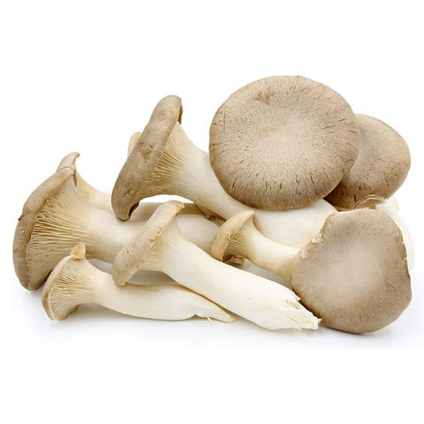 Fresh King Oyster Mushrooms