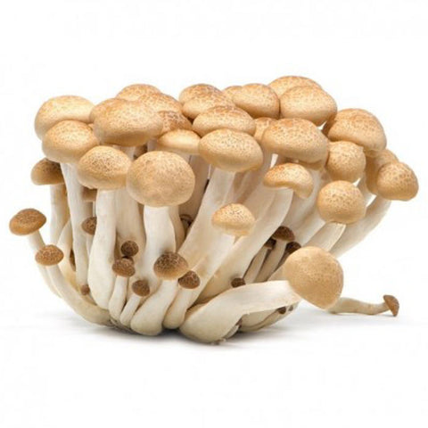 Chiodini Brown Beech Mushrooms