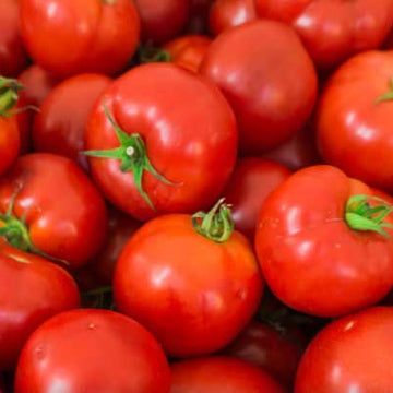 Italian Roma Tomato Passata Puree 6.6 Lbs