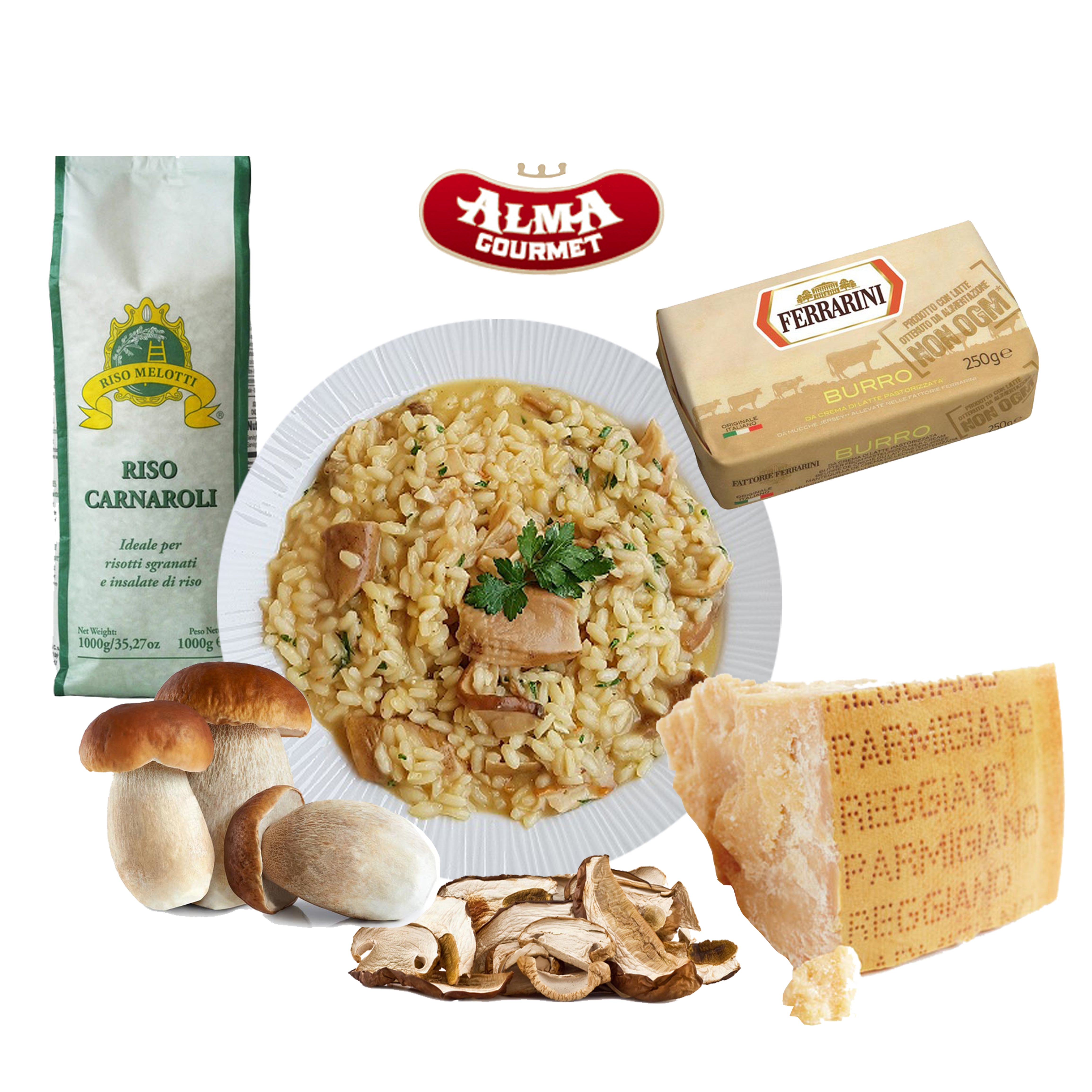 Shop Risotto with Porcini Mushrooms Kit | Alma Gourmet Store