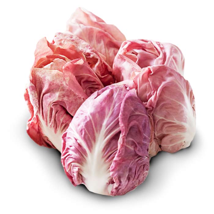 Raddichio Rosa Radicchio Rosa di Verona - Pink Radicchio