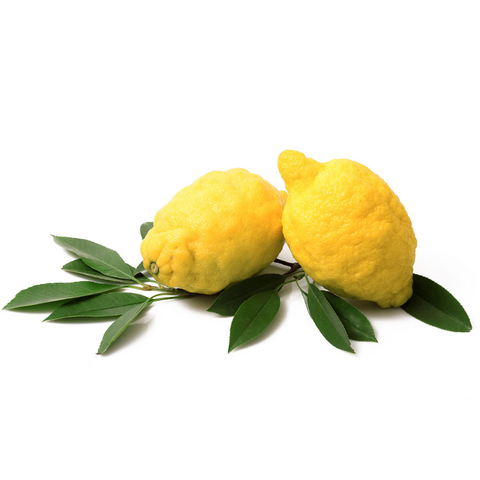 Sorrento Lemons - Limoni di Sorrento